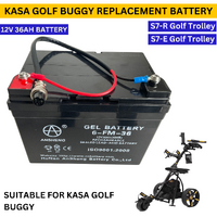 12V 36Ah Replacement Golf Buggy Battery Suitable for Kasa S7-R & S7-E Buggy